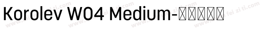 Korolev W04 Medium字体转换